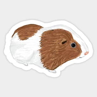 Nice Artwork Showing an American Guinea Pig III Sticker